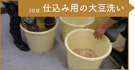 工程8：3日目 仕込み用の大豆洗い