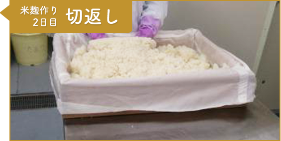 工程4：米糀作り3日目 切返し