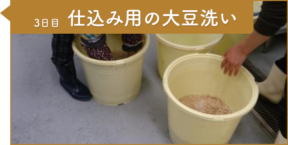 工程8：3日目 仕込み用の大豆洗い